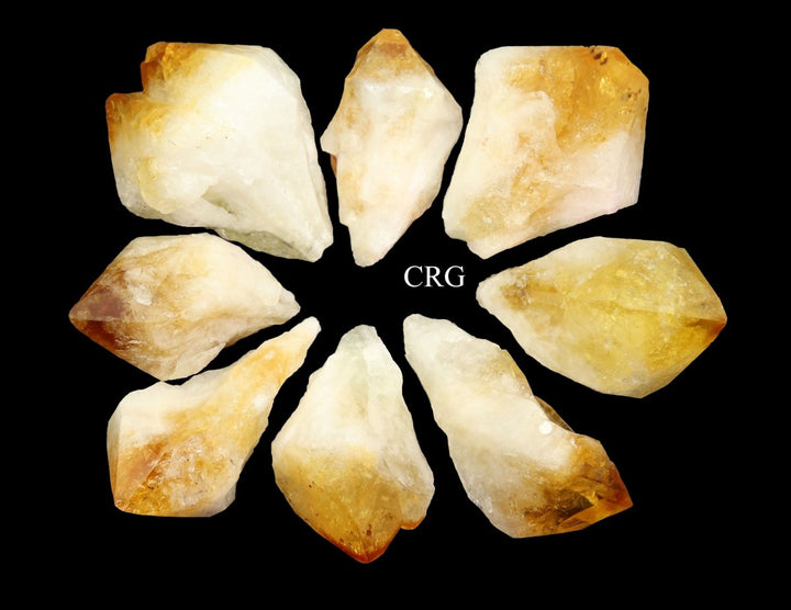 Raw Extra Quality Citrine Points / 3 - 5" AVG - 1 LB. LOTCrystal River Gems