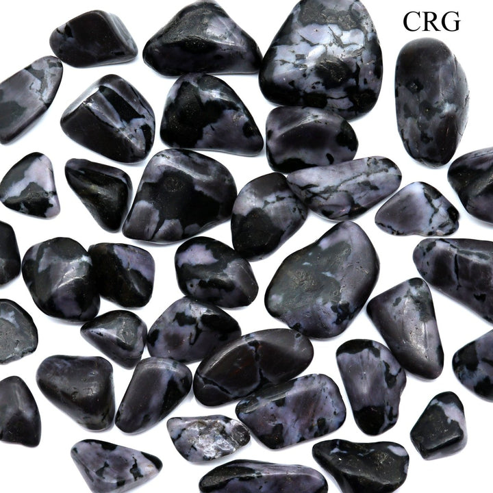 Tumbled Indigo Gabbro / 1 - 2" AVG - 1 LB. LOTCrystal River Gems