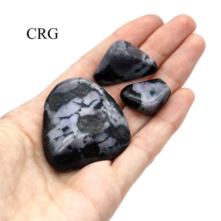 Tumbled Indigo Gabbro / 1 - 2" AVG - 1 LB. LOTCrystal River Gems