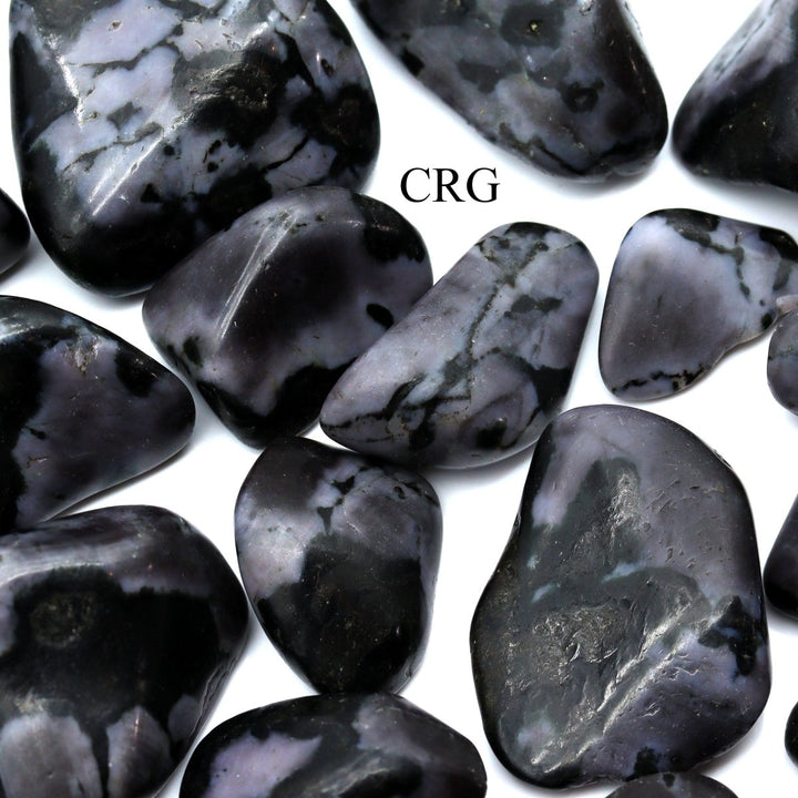 Tumbled Indigo Gabbro / 1 - 2" AVG - 1 LB. LOTCrystal River Gems