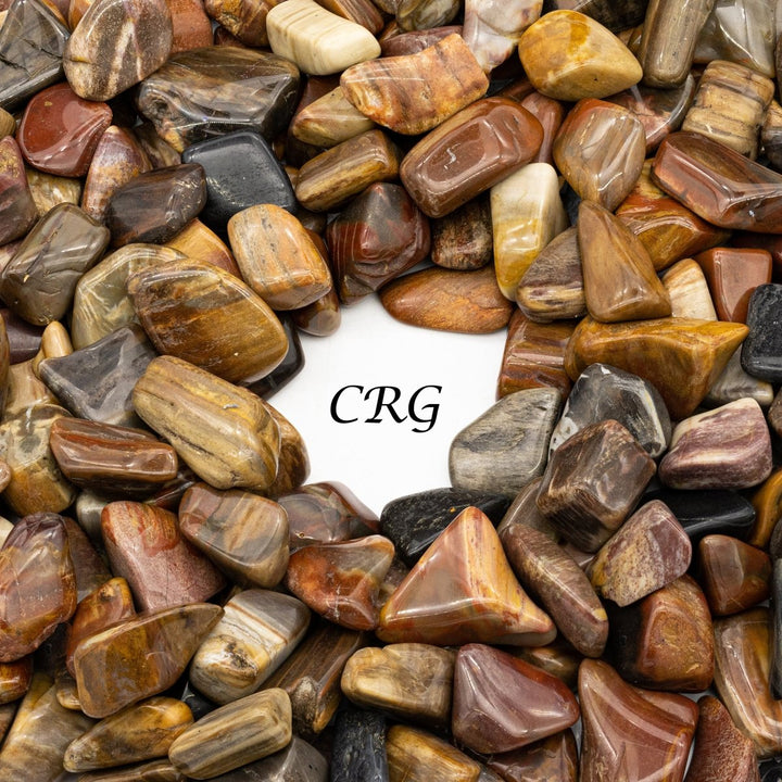 Tumbled Petrified Wood / 1 - 2" AVG - 1 LB. LOTCrystal River Gems