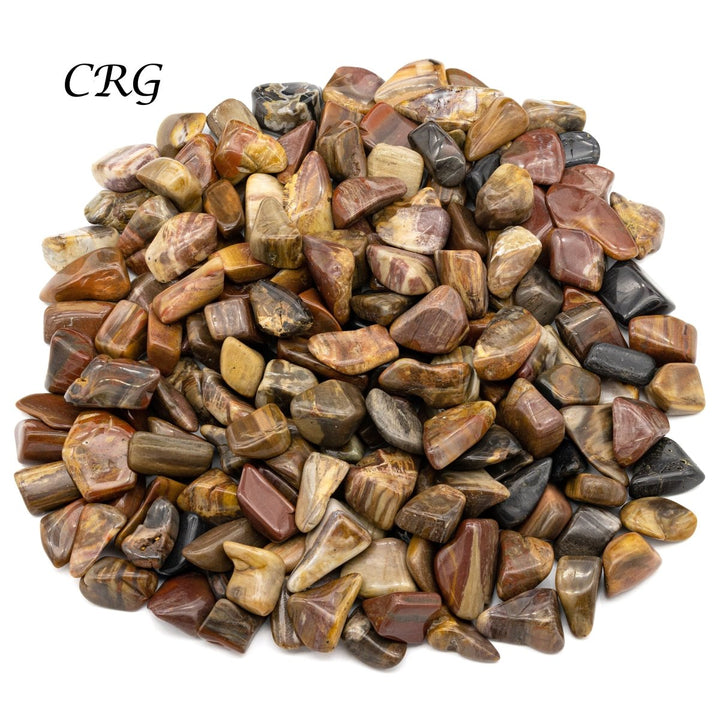 Tumbled Petrified Wood / 1 - 2" AVG - 1 LB. LOTCrystal River Gems