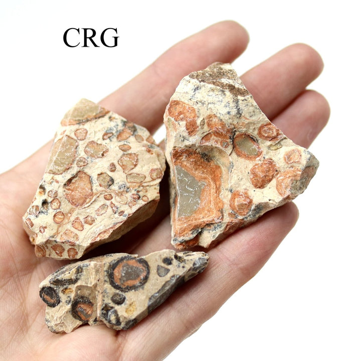 Rough Leopard Skin Jasper / 1 - 2" AVG - 1 PIECECrystal River Gems