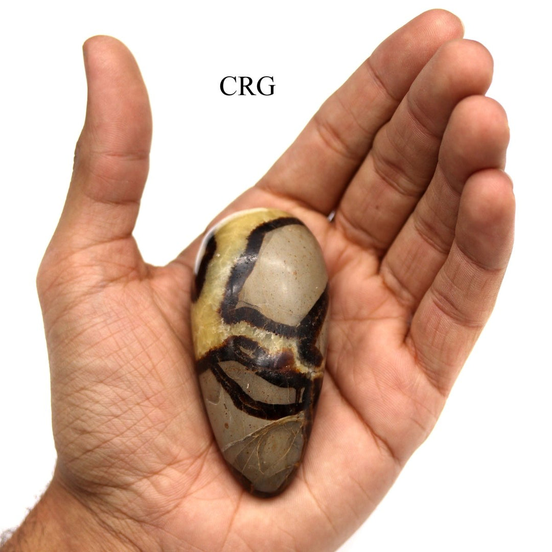 Septarian Calcite Massage Stone / 2.5 - 3.5" AVG - 1 PIECECrystal River Gems
