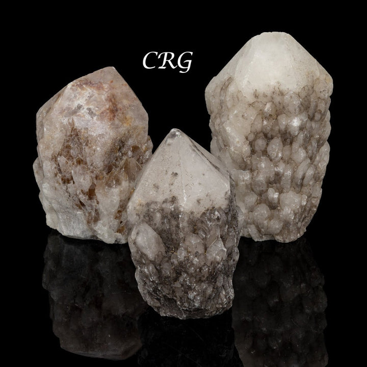 1LB LOT - Candle Quartz Points AKA Cactus pointsCrystal River Gems