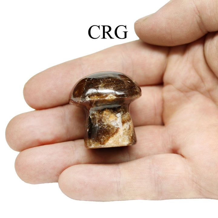 2 KILO LOT - Chocolate Calcite Mushroom / MIXED SIZESCrystal River Gems