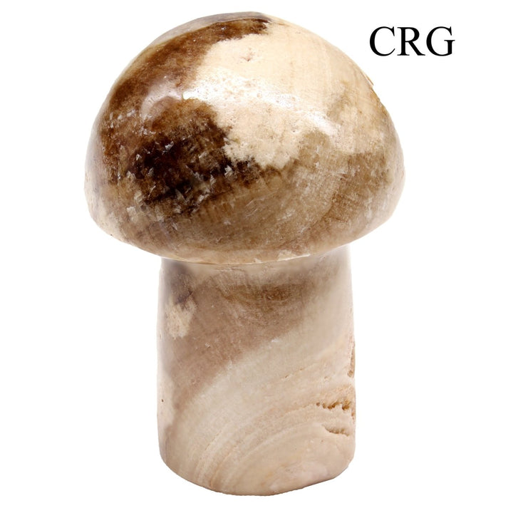 2 KILO LOT - Chocolate Calcite Mushroom / MIXED SIZESCrystal River Gems