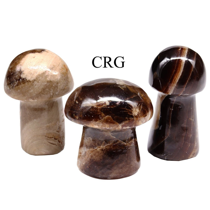 2 KILO LOT - Chocolate Calcite Mushroom / MIXED SIZESCrystal River Gems