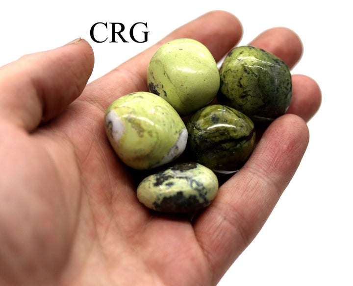 Tumbled Serpentine / 25 - 35mm AVG - 1 LB. LOTCrystal River Gems
