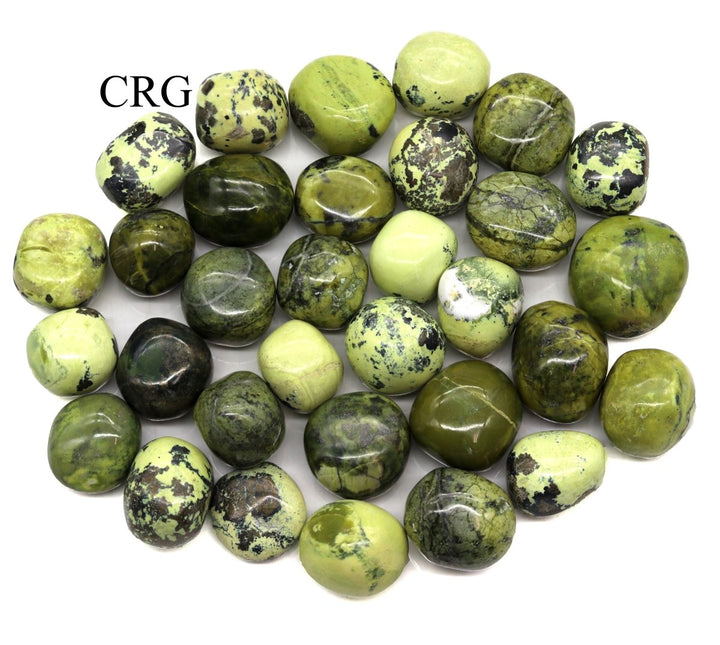 Tumbled Serpentine / 25 - 35mm AVG - 1 LB. LOTCrystal River Gems