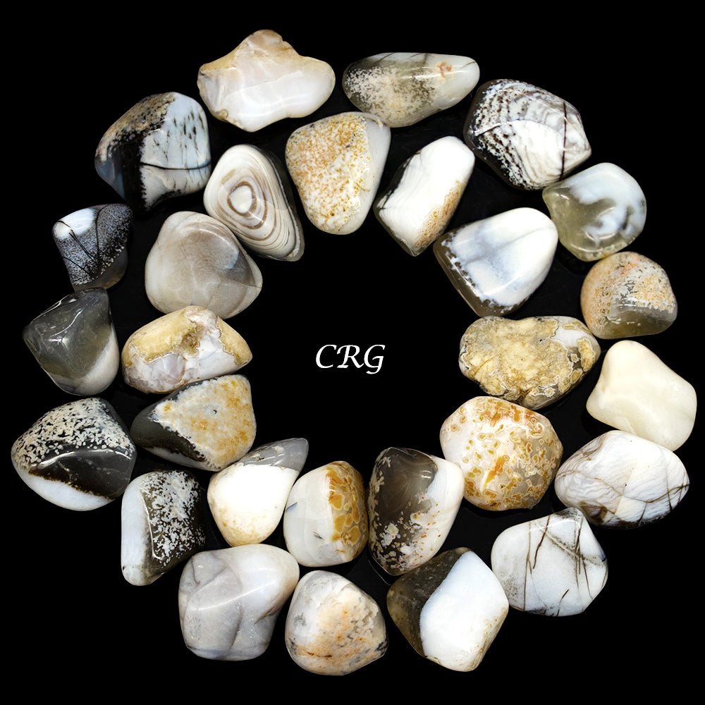 Tumbled Blue Chalcedony with Inclusions / 0.5 - 1.5" AVG - 1 LB. LOTCrystal River Gems