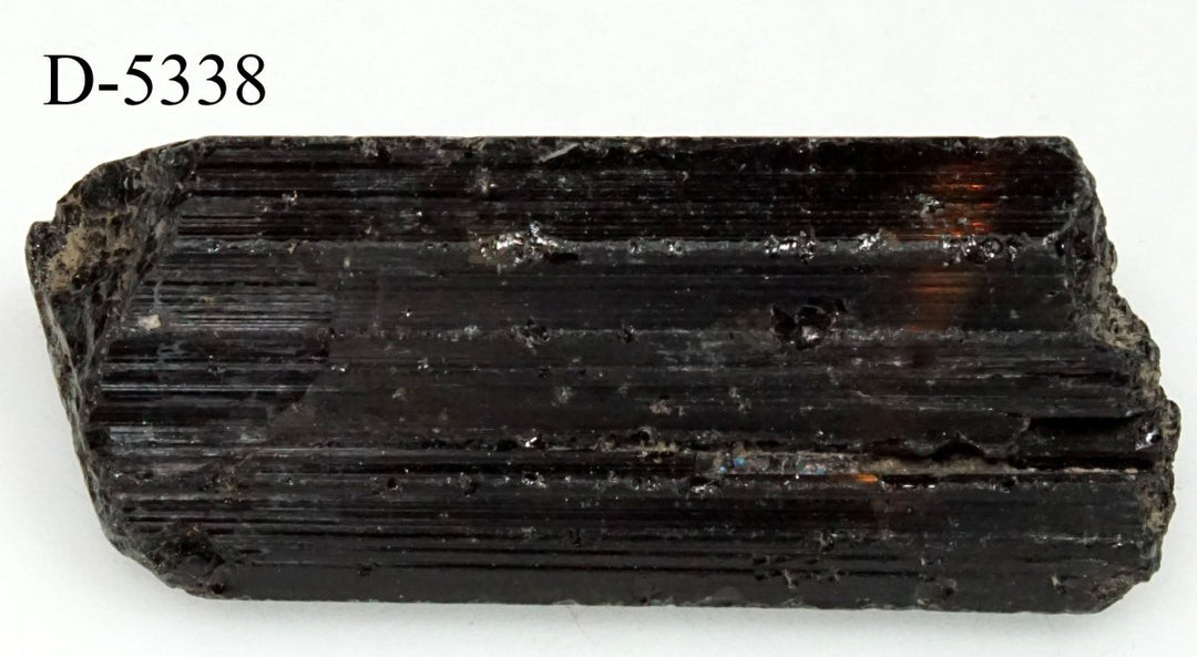 D - 5338 Raw Black Tourmaline Crystals 0.7ozCrystal River Gems
