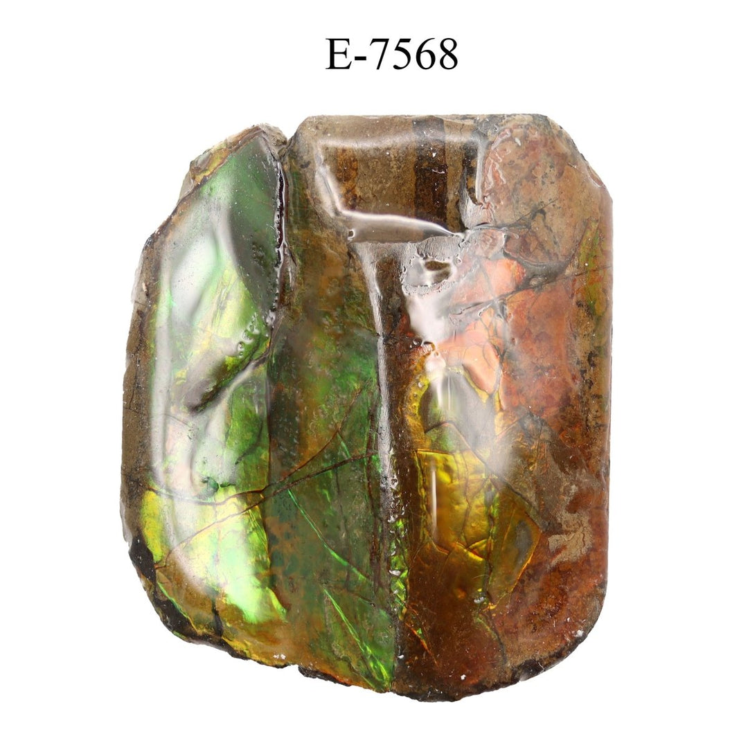 E - 7568 Polished Fire Ammolite - 18.7 gCrystal River Gems
