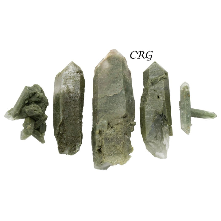 8oz. Chlorite Quartz PointsCrystal River Gems