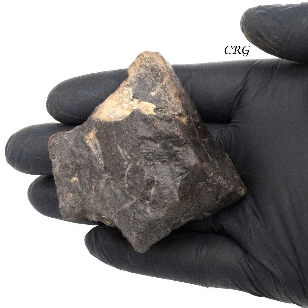 Saharan Magnetic Meteorite / 2.5-3.5" AVG - 1 LB. LOT