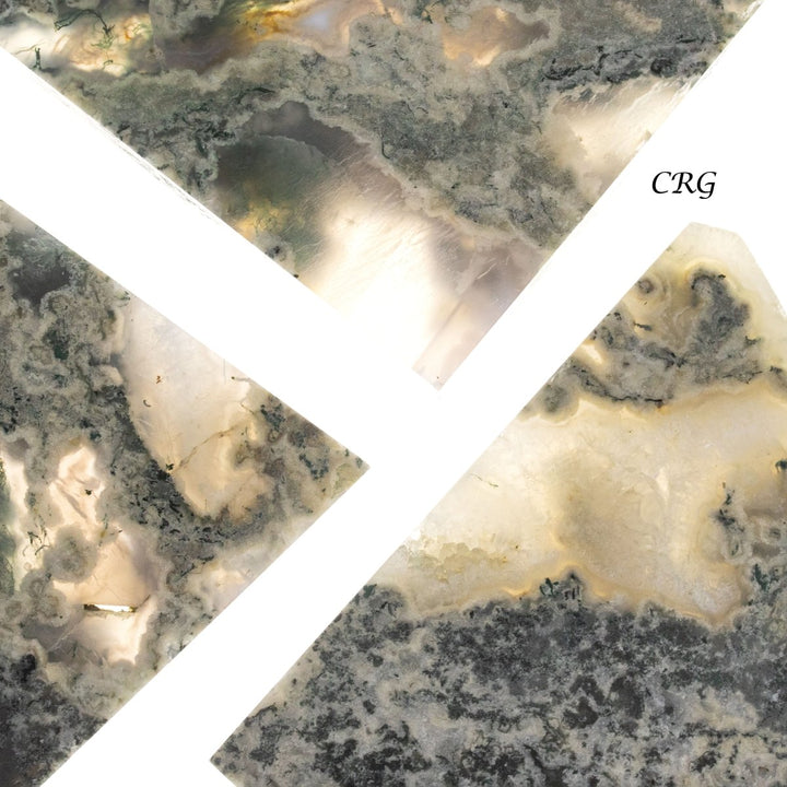 Moss Agate Slabs / 4 - 6" AVG - 1 KILO LOTCrystal River Gems