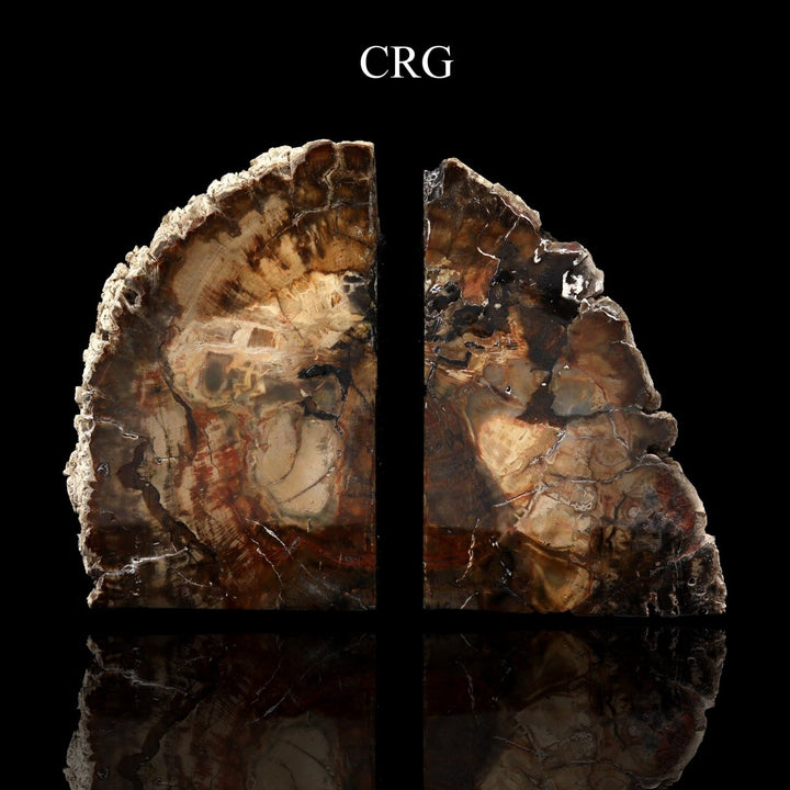 Petrified Wood Bookends / 3 - 4 KG AVG - 1 PAIRCrystal River Gems