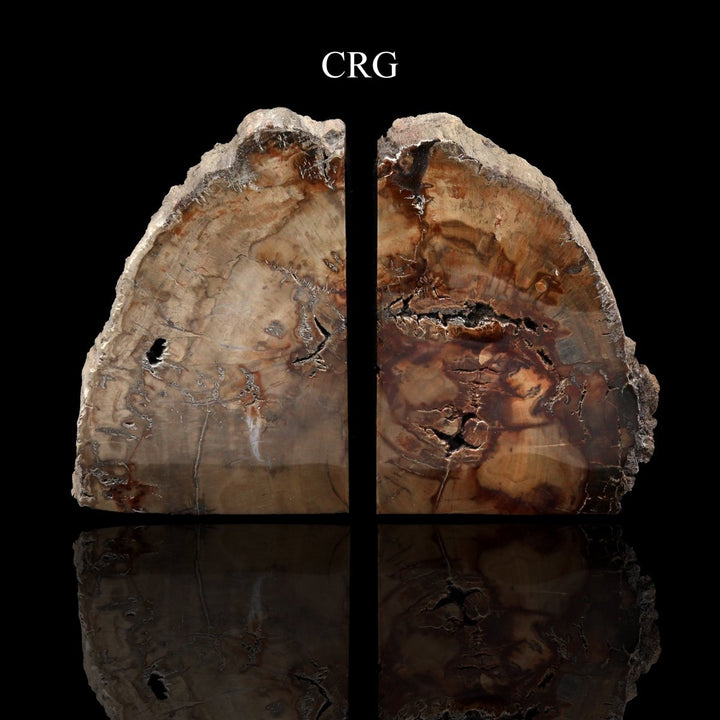 Petrified Wood Bookends / 3 - 4 KG AVG - 1 PAIRCrystal River Gems