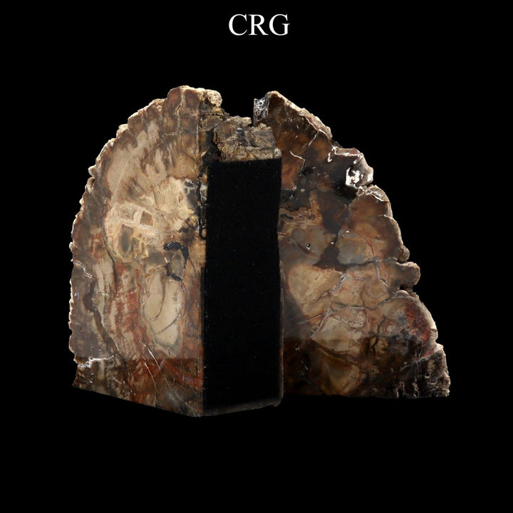 Petrified Wood Bookends / 3 - 4 KG AVG - 1 PAIRCrystal River Gems