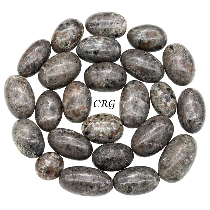 Tumbled Sodalite Syenite / 1.5" AVG - 1 KILO LOTCrystal River Gems