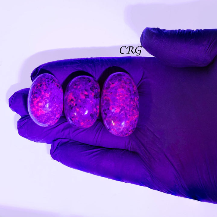 Tumbled Sodalite Syenite / 1.5" AVG - 1 KILO LOTCrystal River Gems