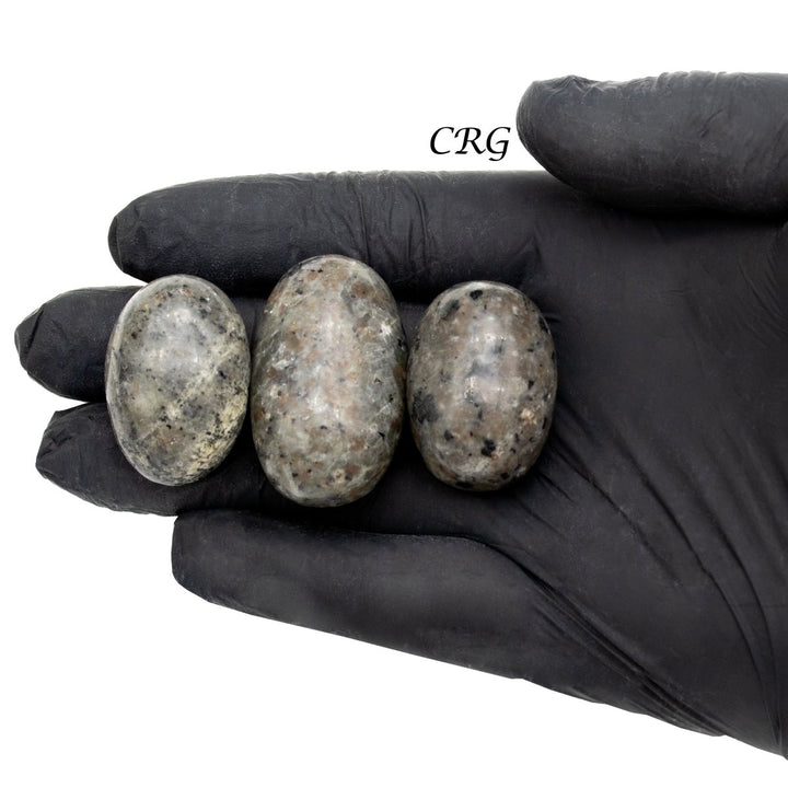 Tumbled Sodalite Syenite / 1.5" AVG - 1 KILO LOTCrystal River Gems