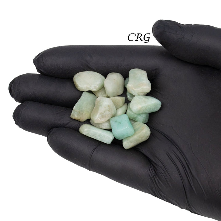 Amazonite Tumbled Pale Chips (1 Pound) Size 5 to 20 mm Tumbled Crystal Wholesale LotCrystal River Gems
