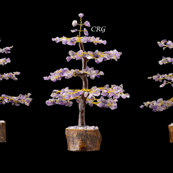 Amethyst 300 Chip Tree with Wood Base and Gold Wire (1 Piece) Size 9 Inches Crystal Gemstone TreeCrystal River Gems
