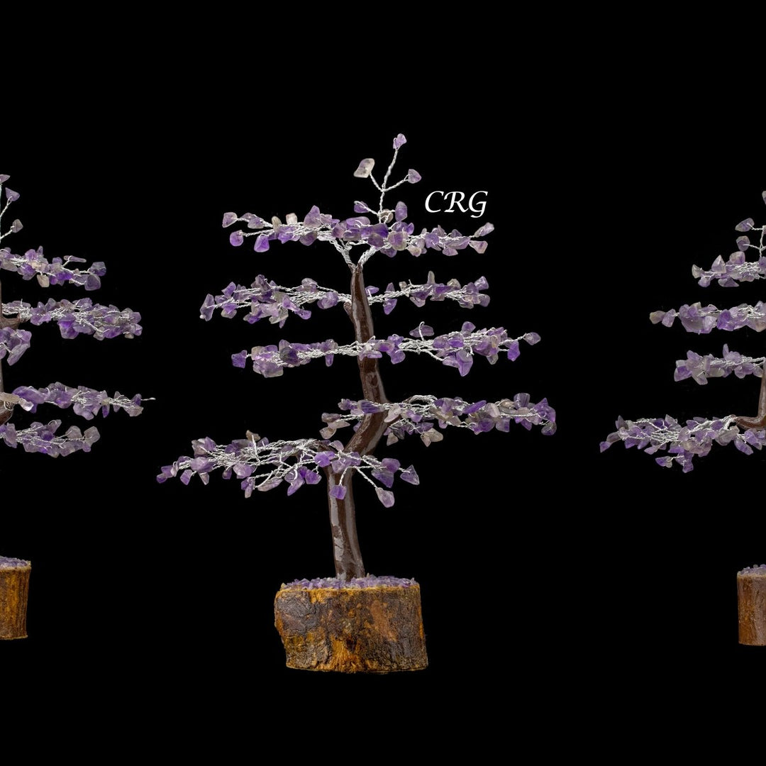 Amethyst 300 Chip Tree with Wood Base and Silver Wire (1 Piece) Size 9 Inches Crystal Gemstone Tree