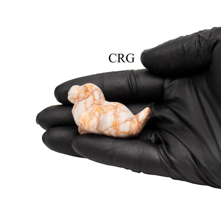 Assorted Gemstone Seals (4 Pieces) Size 1 to 2 Inches Mixed Crystal Animal CarvingsCrystal River Gems