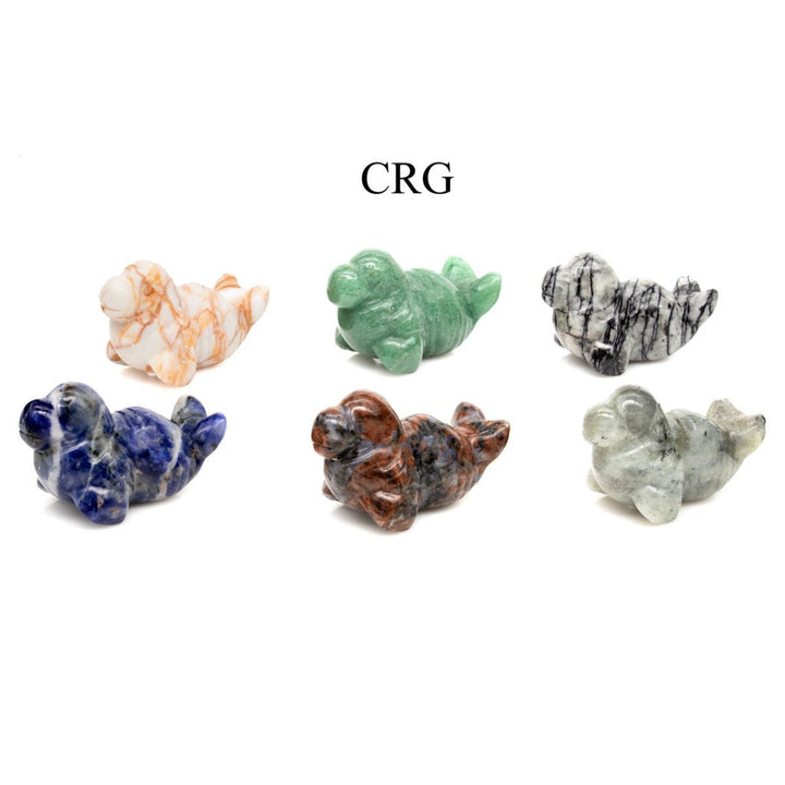 Assorted Gemstone Seals (4 Pieces) Size 1 to 2 Inches Mixed Crystal Animal CarvingsCrystal River Gems