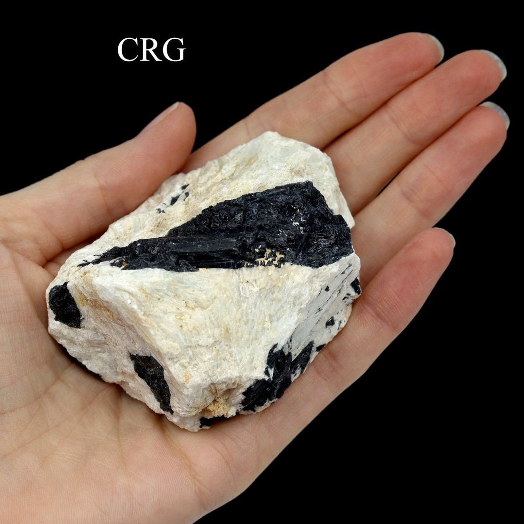 Black Tourmaline in White Matrix (Mixed Sizes) Bulk Wholesale Lot Crystals Minerals