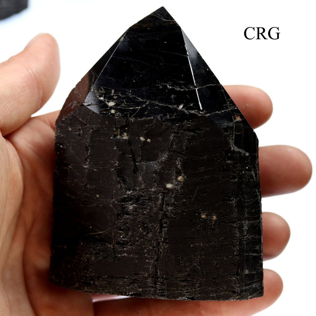 Black Tourmaline Rough Point with Cut Base (1 Piece) Mixed Sizes Crystals MineralsCrystal River Gems