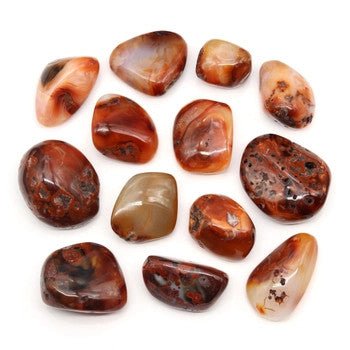Carnelian Agate Gallet Palm Stone (1 Piece) Size 2 to 2.5 Inches Crystal Gemstone Worry StoneCrystal River Gems