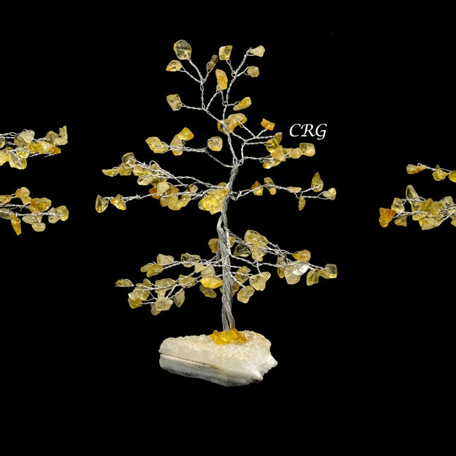 Citrine 100 Chip Tree with Cluster Base and Silver Wire (1 Piece) Size 6 Inches Gemstone Tree