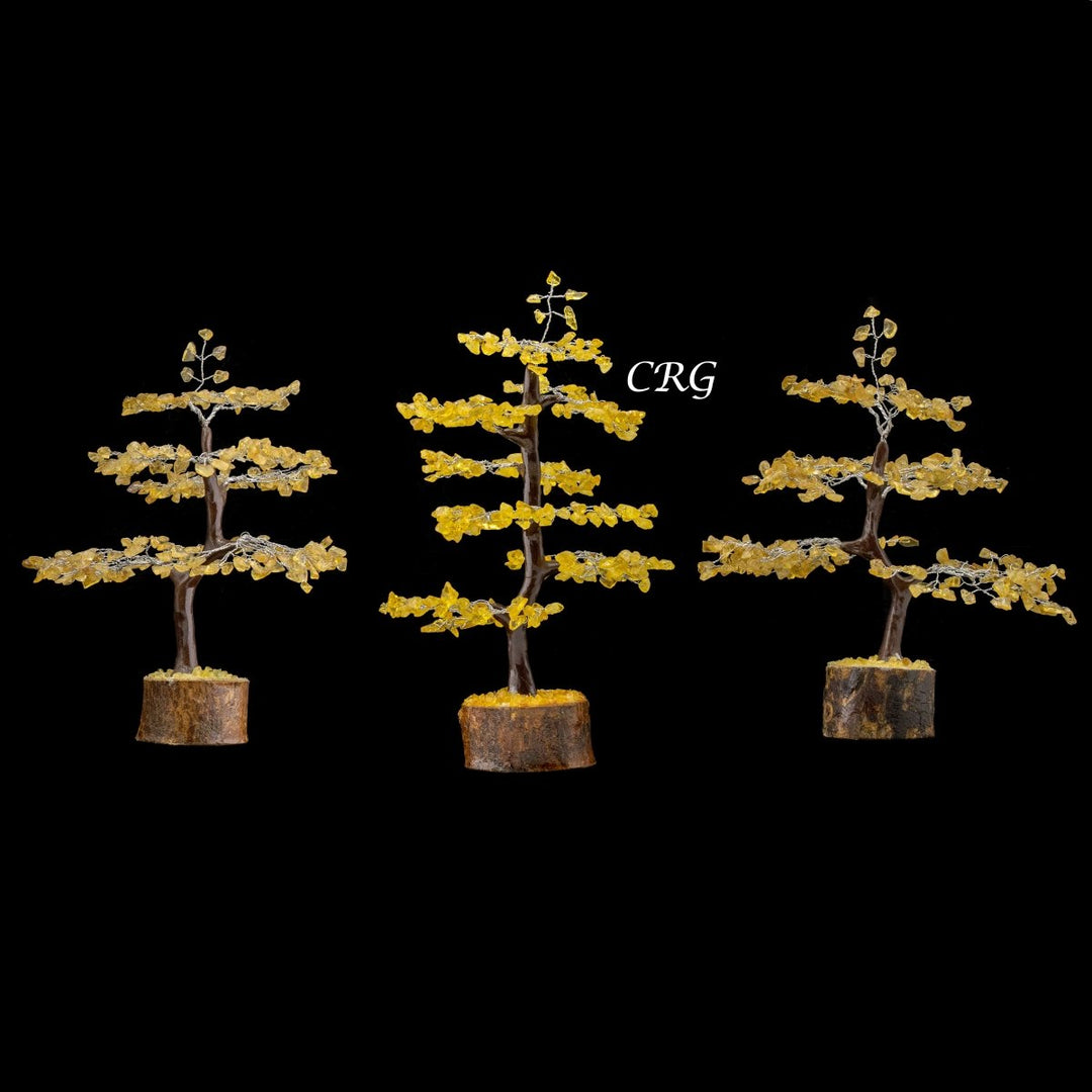 Citrine 300 Chip Tree with Wood Base and Silver Wire (1 Piece) Size 9 Inches Crystal Gemstone TreeCrystal River Gems