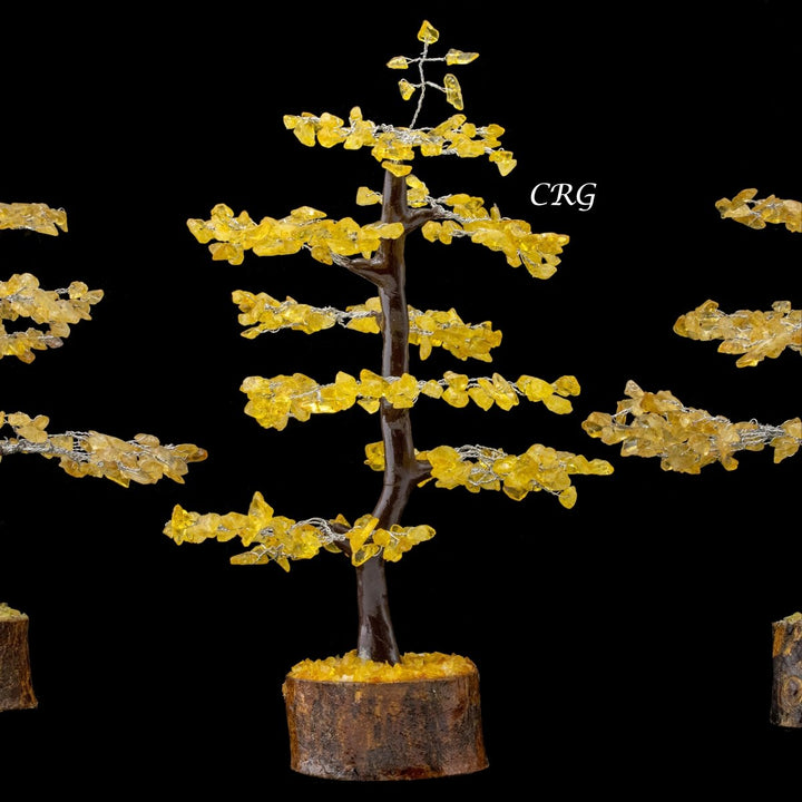 Citrine 300 Chip Tree with Wood Base and Silver Wire (1 Piece) Size 9 Inches Crystal Gemstone TreeCrystal River Gems