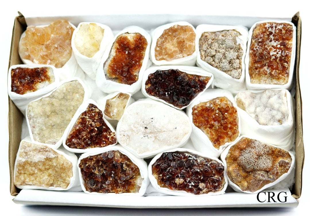 Citrine Druzy Multicolored Small Flat (1 Flat) Size 1 to 2.5 Inches Bulk Wholesale Lot Crystal MineralsCrystal River Gems