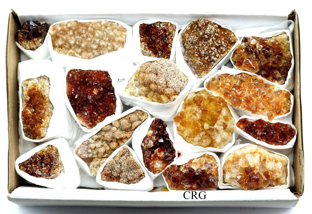 Citrine Druzy Multicolored Small Flat (1 Flat) Size 1 to 2.5 Inches Bulk Wholesale Lot Crystal MineralsCrystal River Gems