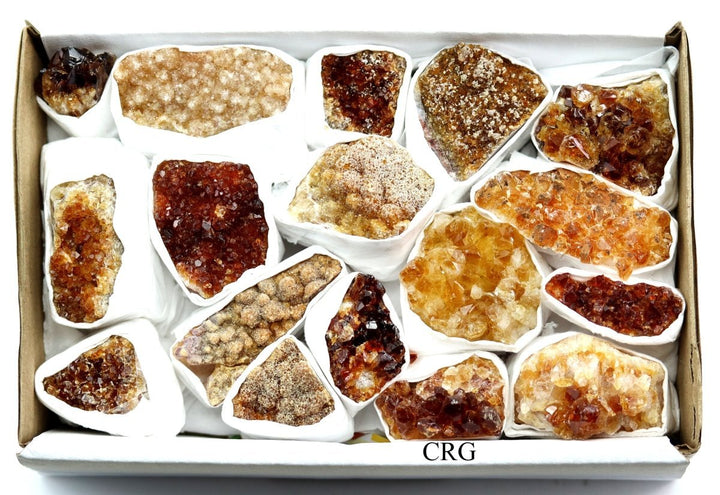 Citrine Druzy Multicolored Small Flat (1 Flat) Size 1 to 2.5 Inches Bulk Wholesale Lot Crystal MineralsCrystal River Gems