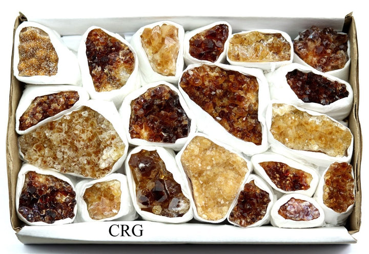 Citrine Druzy Multicolored Small Flat (1 Flat) Size 1 to 2.5 Inches Bulk Wholesale Lot Crystal MineralsCrystal River Gems