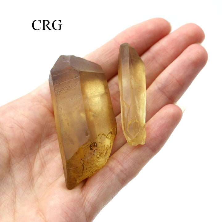 Citrine Natural Point (1 Piece) Size 50 to 90 Grams Crystal Gemstone MineralsCrystal River Gems