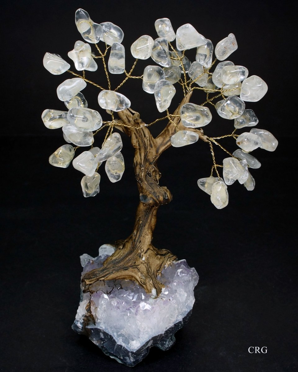Clear Quartz Tree with Crystal Base (5.5-6.5 Inches) (1 Pc) Large Brazilian Crystal Chip Tree