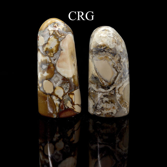 Conglomerate Jasper Freeform Boulder (1 Piece) Size 3 to 5 Inches Standing Crystal Gemstone Decor