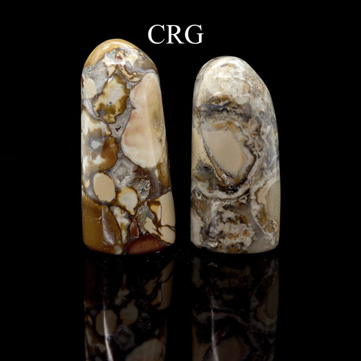 Conglomerate Jasper Freeform Boulder (1 Piece) Size 3 to 5 Inches Standing Crystal Gemstone DecorCrystal River Gems