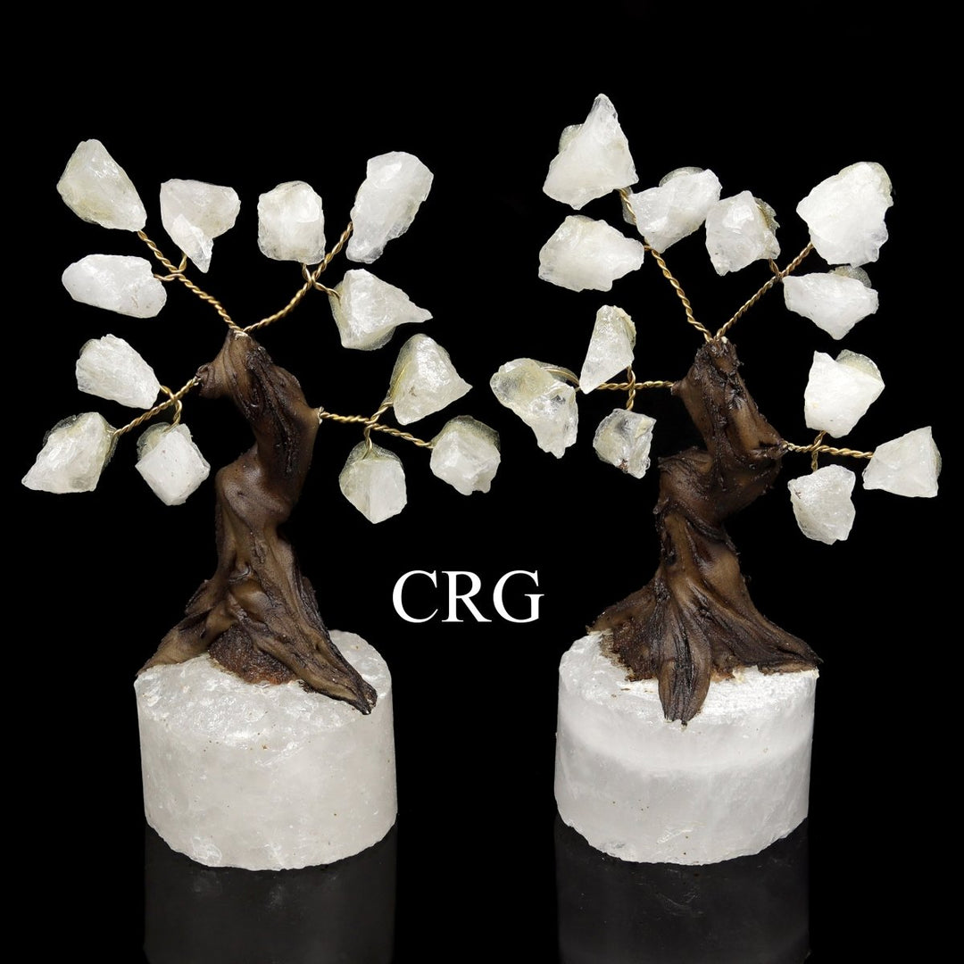 Crystal Quartz Rough Chip Tree with Round Polished Base (2 Pieces) Size 3.5 to 4 Inches Gemstone DecorCrystal River Gems