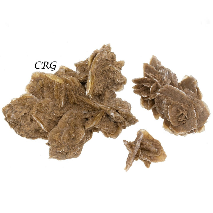 Desert Rose (1 Pound) Size 3.5 Inches Crystal Gemstone SpecimenCrystal River Gems