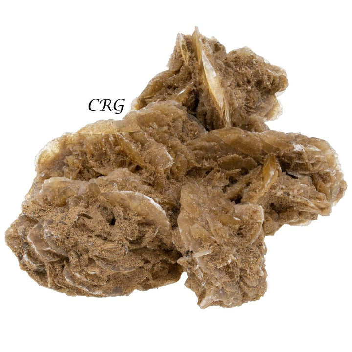 Desert Rose (1 Pound) Size 3.5 Inches Crystal Gemstone SpecimenCrystal River Gems