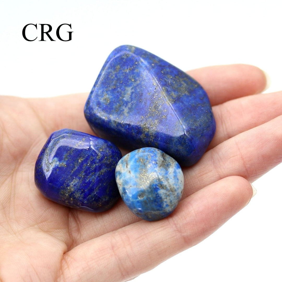 Extra Quality Lapis Lazuli Tumbled Pieces (Size 1 to 2 inches) Bulk Wholesale Lot Crystals Minerals