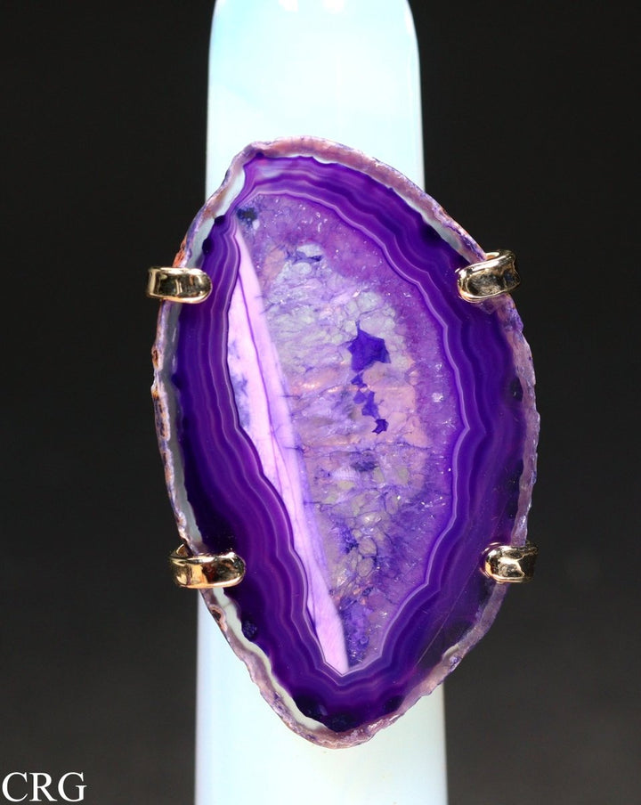 Gold Plated Mini Agate Slice Adjustable Ring 1.5" avgCrystal River Gems